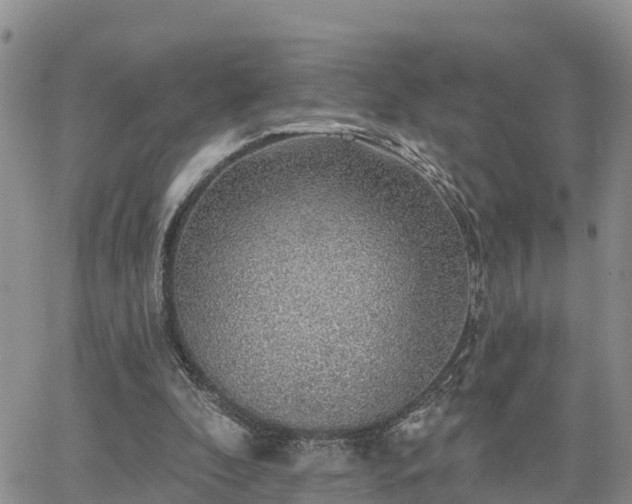 X0000064740296200602171714