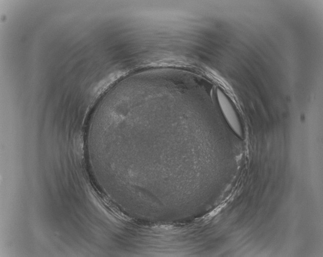 X0000064740298200602171714