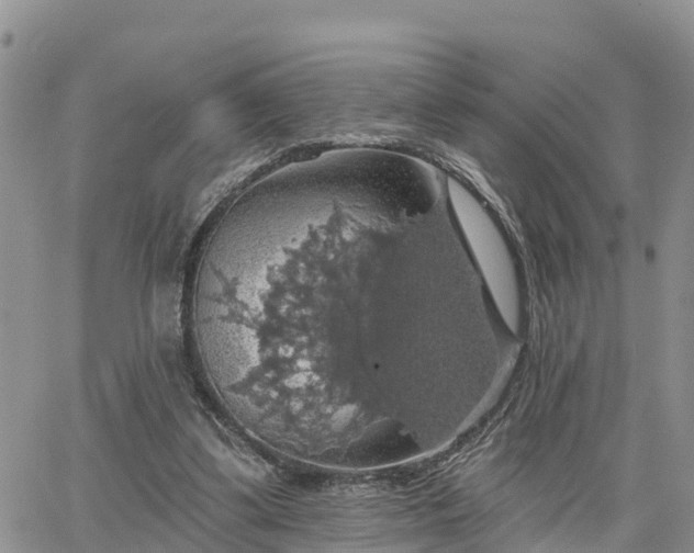 X0000064740299200602171714