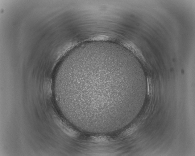 X0000064740300200602171714