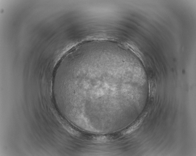 X0000064740301200602171714