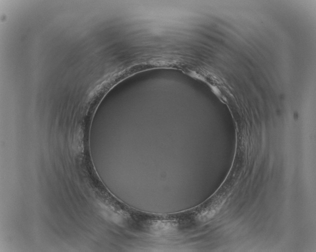 X0000064740303200602171714