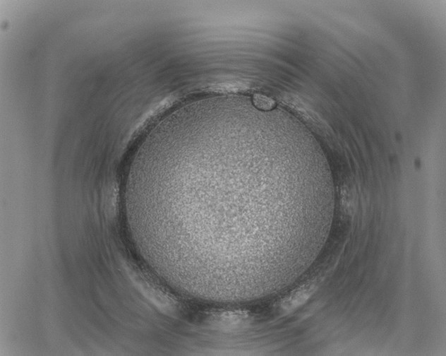 X0000064740304200602171714