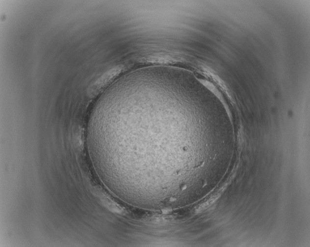 X0000064740305200602171714