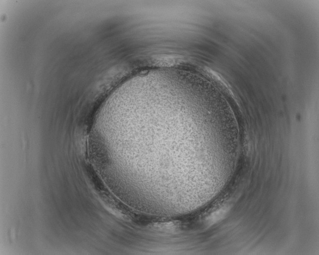 X0000064740307200602171714