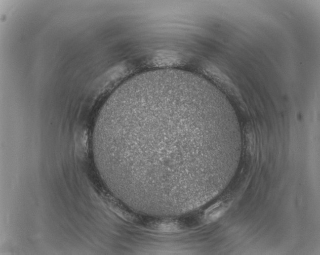 X0000064740308200602171714