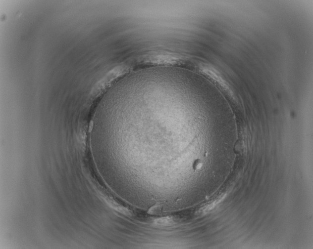 X0000064740309200602171714