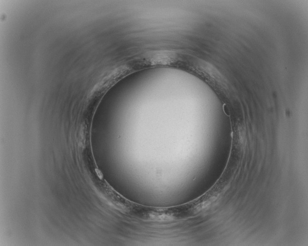 X0000064740311200602171714