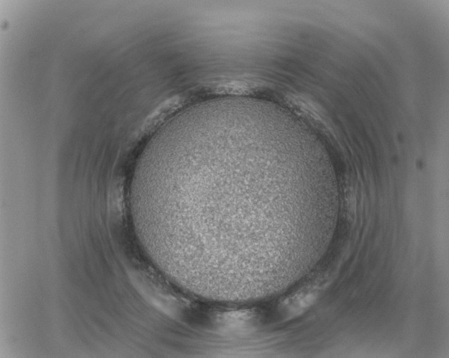 X0000064740312200602171714