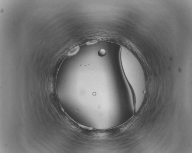 X0000064740313200602171714