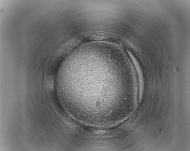 X0000064740315200602171714