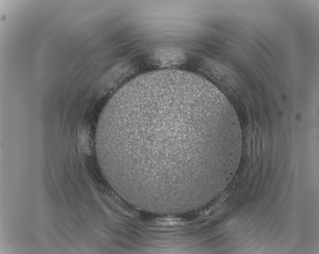 X0000064740316200602171714