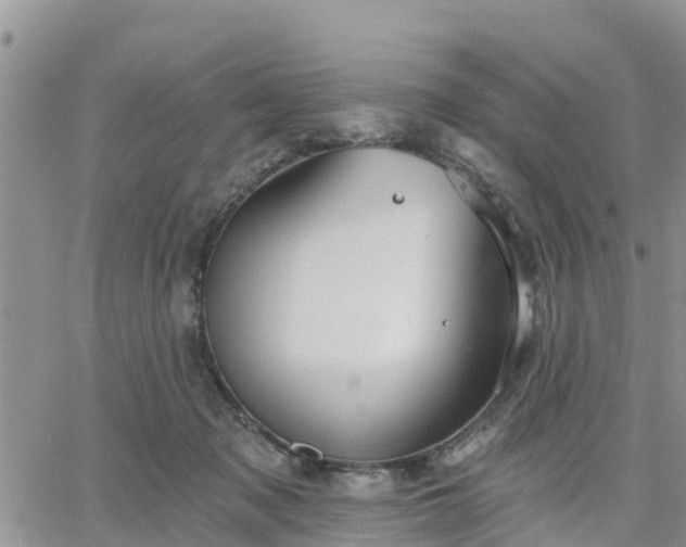 X0000064740317200602171714