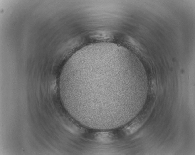 X0000064740320200602171714