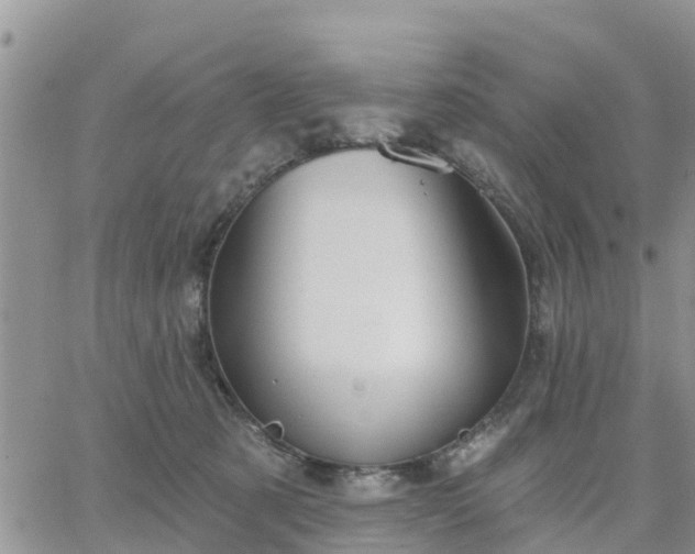 X0000064740321200602171714