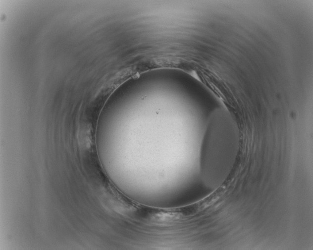 X0000064740323200602171714