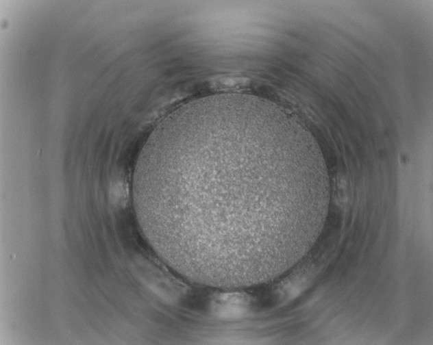 X0000064740324200602171714