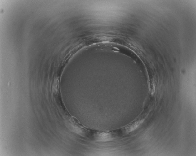 X0000064740325200602171714