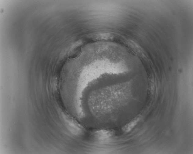 X0000064740326200602171714