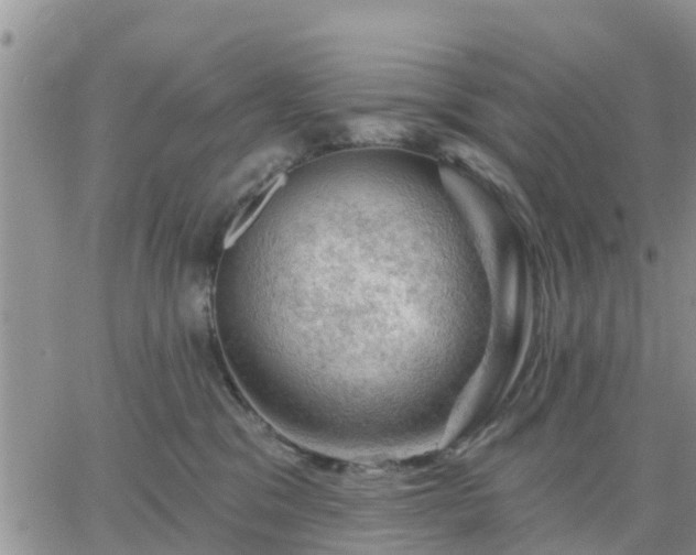 X0000064740329200602171714