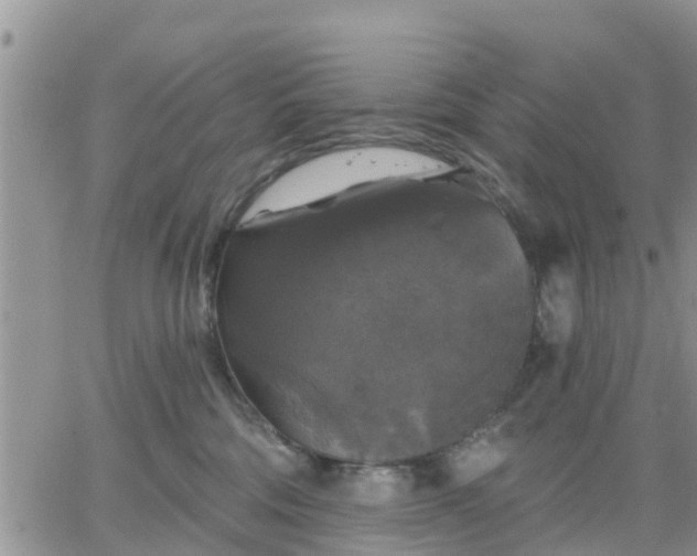 X0000064740330200602171714