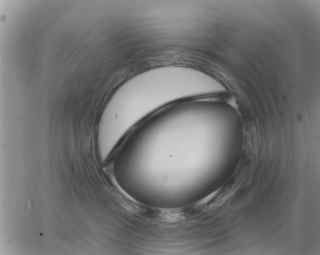 X0000064740333200602171714