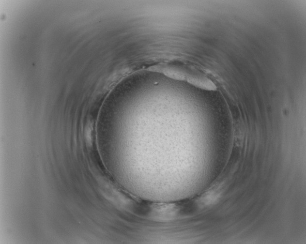 X0000064740334200602171714