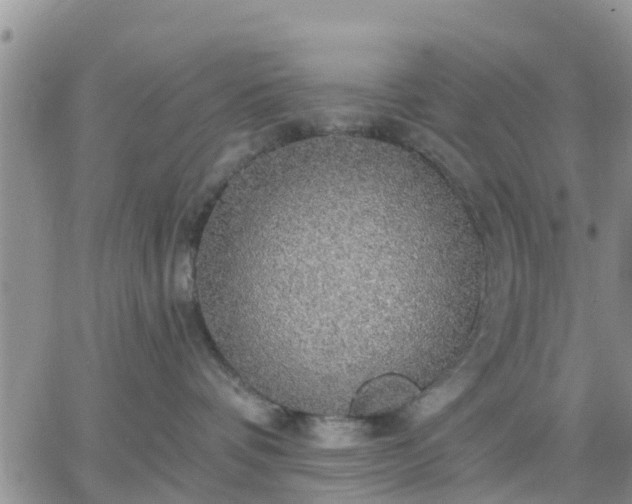 X0000064740336200602171714