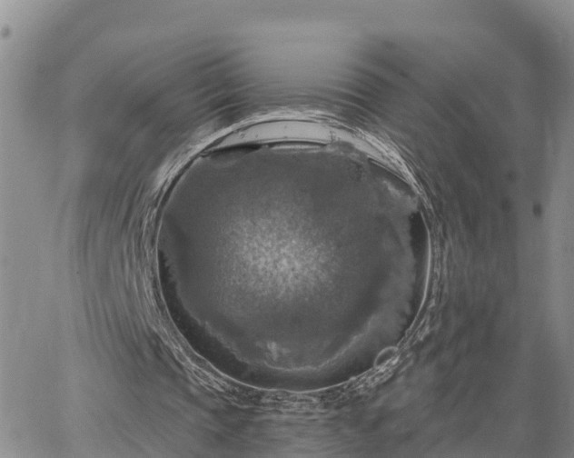 X0000064740337200602171713