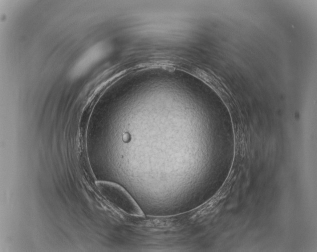 X0000064740338200602171713