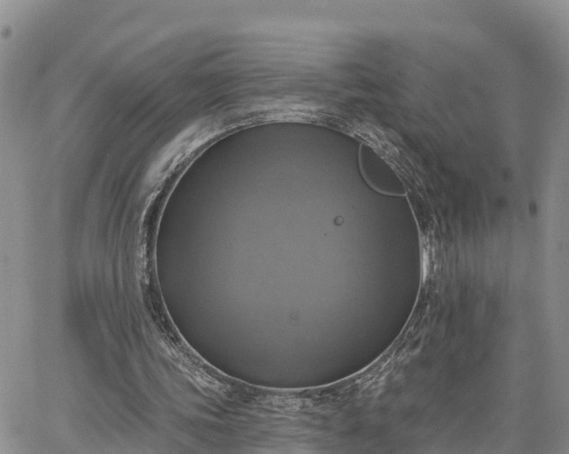 X0000064740339200602171713