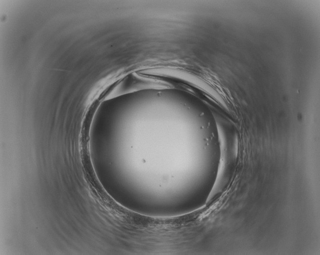 X0000064740340200602171713