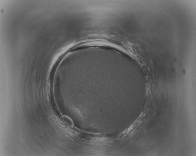 X0000064740342200602171713