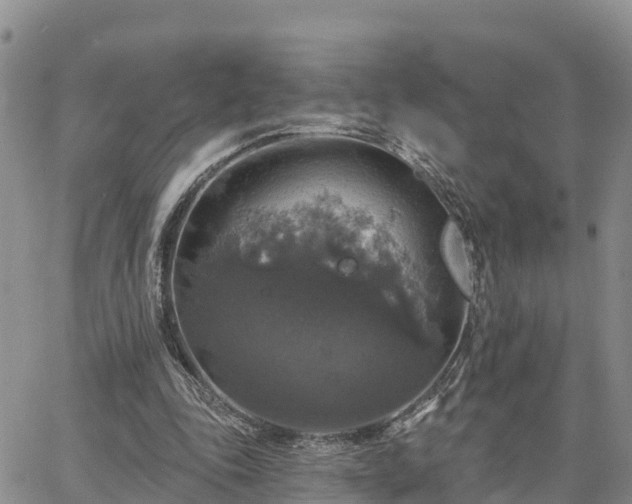 X0000064740343200602171713