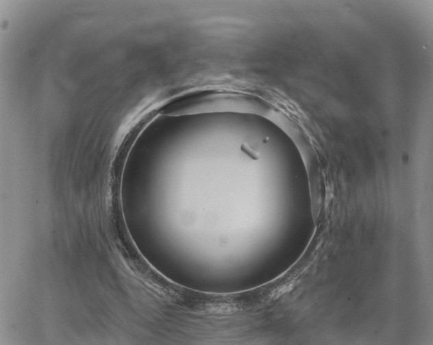 X0000064740344200602171713