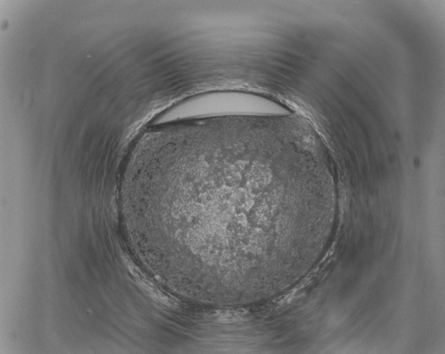 X0000064740345200602171713