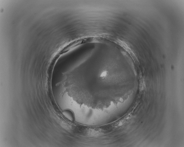 X0000064740346200602171713