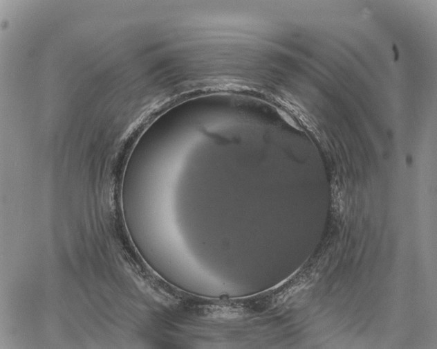 X0000064740347200602171713