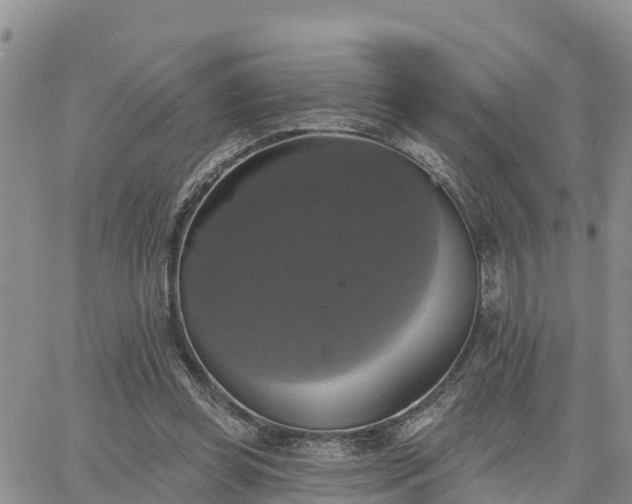 X0000064740349200602171713