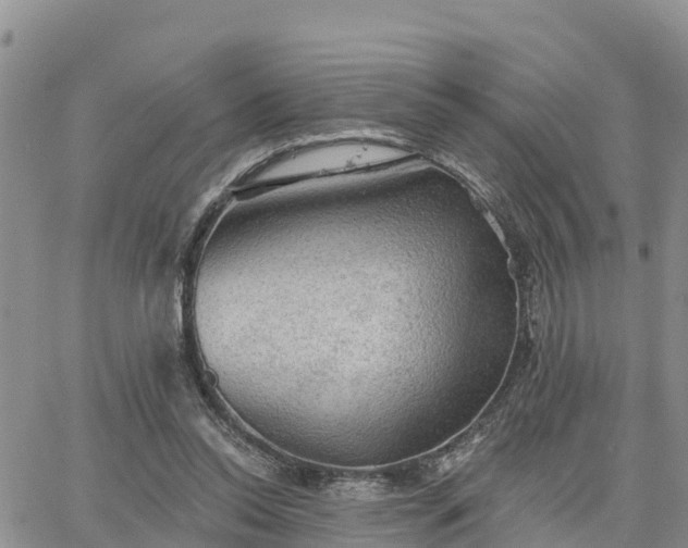 X0000064740350200602171713