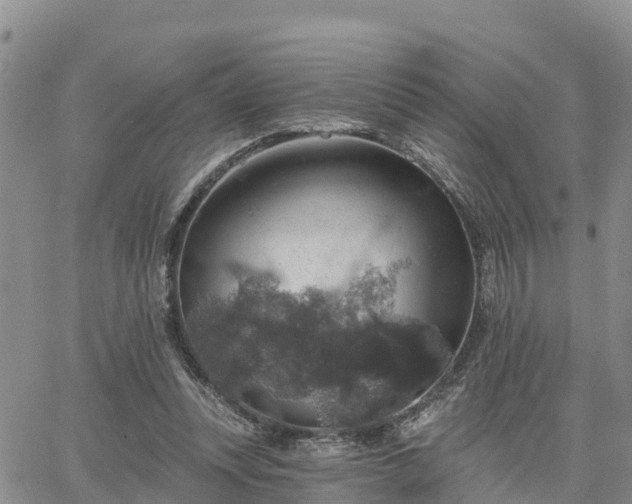 X0000064740351200602171713