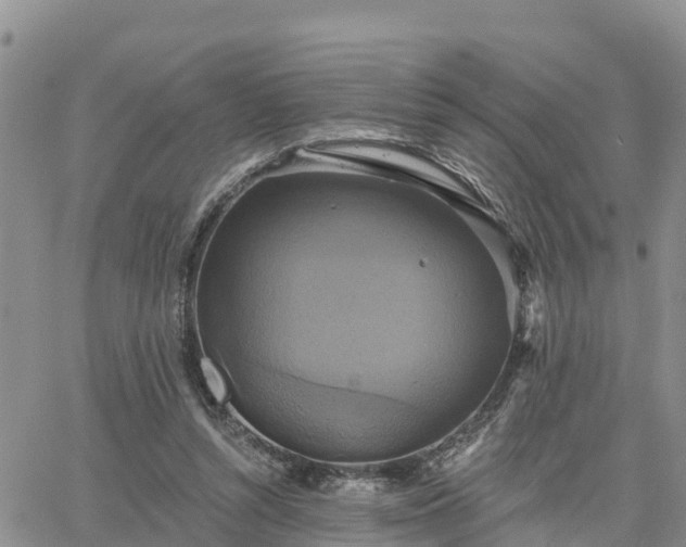 X0000064740352200602171713