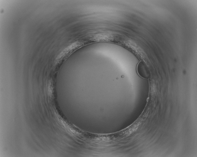 X0000064740353200602171713