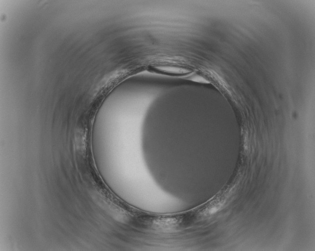 X0000064740357200602171713