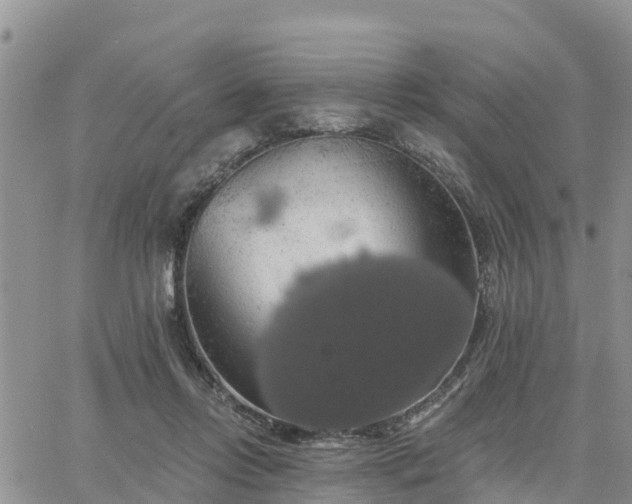 X0000064740358200602171713