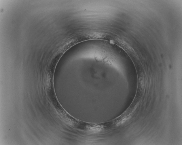 X0000064740359200602171713