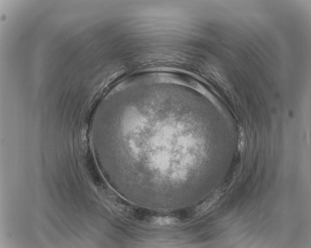 X0000064740360200602171713