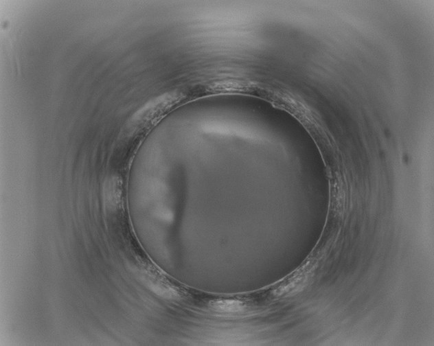 X0000064740361200602171713