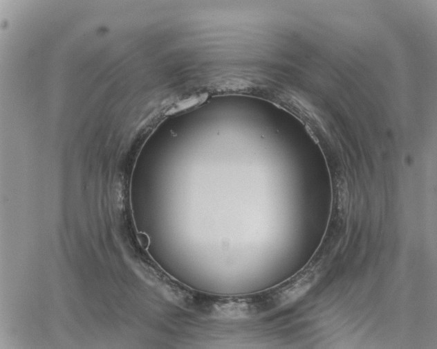 X0000064740362200602171713