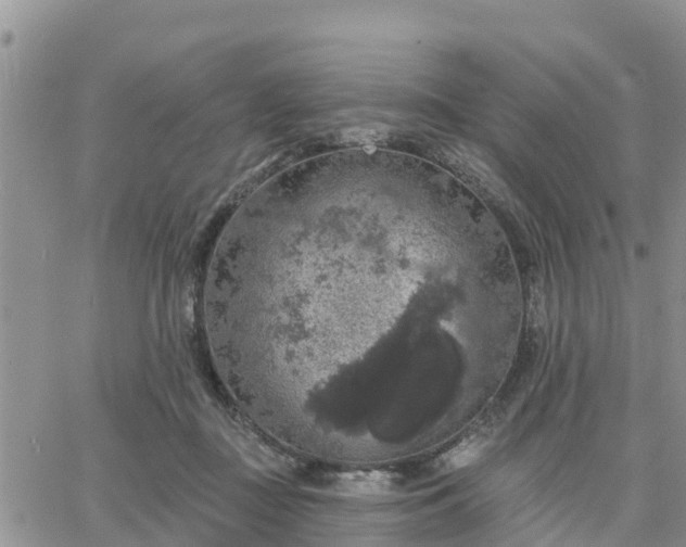 X0000064740363200602171713